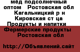 мёд подсолнечный оптом - Ростовская обл., Кагальницкий р-н, Кировская ст-ца Продукты и напитки » Фермерские продукты   . Ростовская обл.